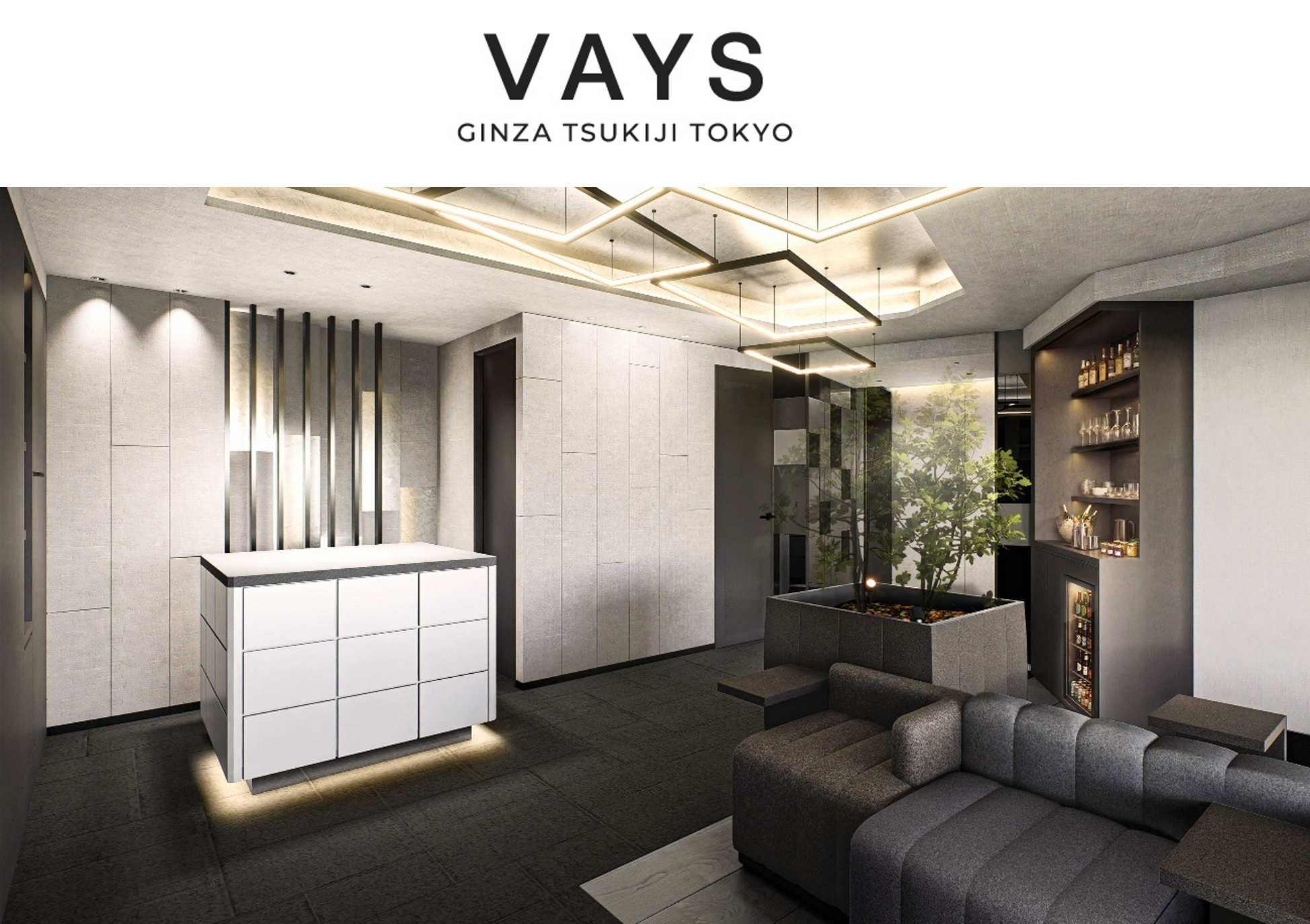 VAYS銀座築地東京